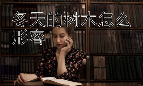 冬天的树木怎么形容，冬天的树木为何如此吸引人？-图片1