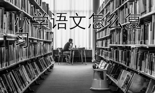 小学语文怎么复习，如何让复习更有趣，避免枯燥？插图