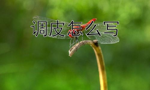 调皮怎么写，调皮真的只有积极意义吗？插图