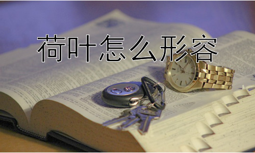荷叶怎么形容，荷叶的“出淤泥而不染”是如何实现的？插图
