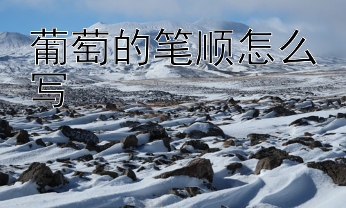 葡萄的笔顺怎么写，为什么会有笔顺？插图