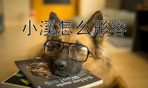 小溪怎么形容，小溪的未来会如何？插图