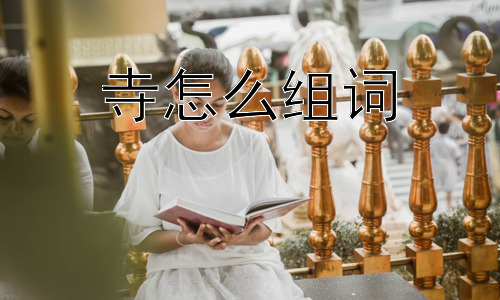 寺怎么组词，为什么“寺”既指宗教场所又指官署机构？插图