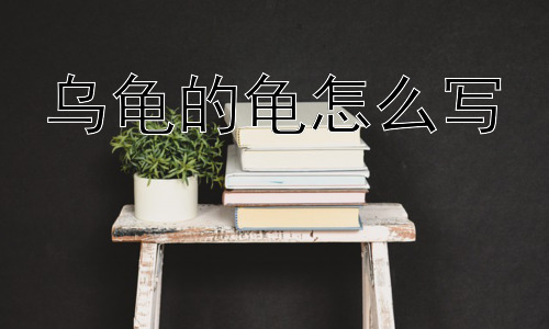 乌龟的龟怎么写，为什么乌龟是“龟”而不是“鳖”？插图
