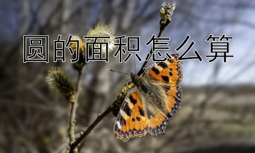 圆的面积怎么算，圆面积的公式解析与原理探索插图