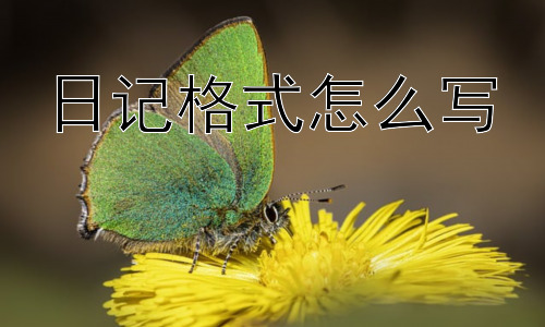 日记格式怎么写，如何让日记更有意义？插图