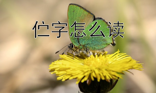伫字怎么读， 为什么“伫”字的使用频率不高？插图