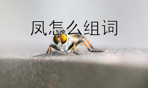 凤怎么组词，为什么凤总是与“龙”并提？插图