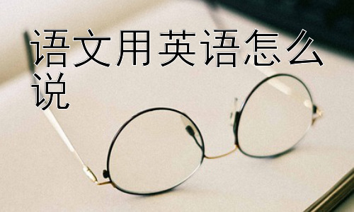 语文用英语怎么说， 为什么“语文”的翻译如此灵活？插图