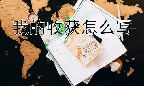 我的收获怎么写， “我的收获”的意义是什么？插图