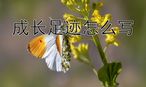 成长足迹怎么写， 如何更好地挖掘成长足迹背后的价值？插图