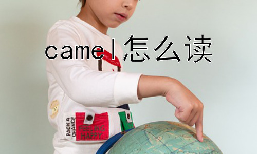 camel怎么读，为什么“camel”的发音容易被误解？插图