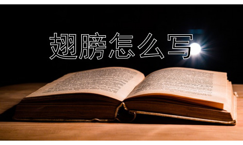 翅膀怎么写，为什么不同生物的翅膀形态差异如此之大？插图