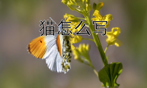猫怎么写，为什么“猫”的写法如此重要？插图