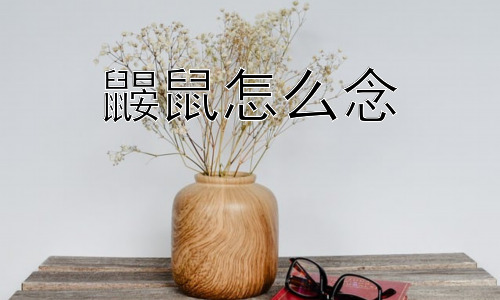 鼹鼠怎么念，鼹鼠真的是老鼠吗？插图