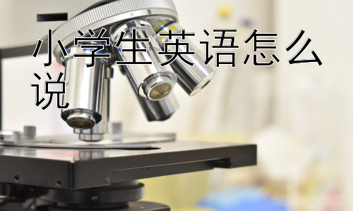 小学生英语怎么说，小学英语应该教什么？插图