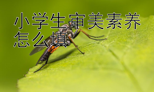 小学生审美素养怎么填，小学生审美素养填写中的常见误区和改进建议插图