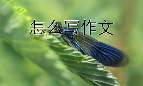 怎么写作文，如何避免写出“套路”作文？插图