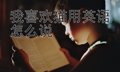 我喜欢猫用英语怎么说，为什么大家如此喜欢用英语表达“我喜欢猫”？插图