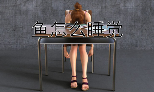 鱼怎么睡觉，为什么有的鱼会游着睡觉？插图