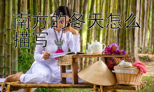 南方的冬天怎么描写，南方冬天的“冷”是怎样一种冷？插图
