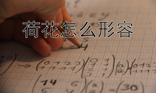 荷花怎么形容，荷花为何如此受人喜爱？插图