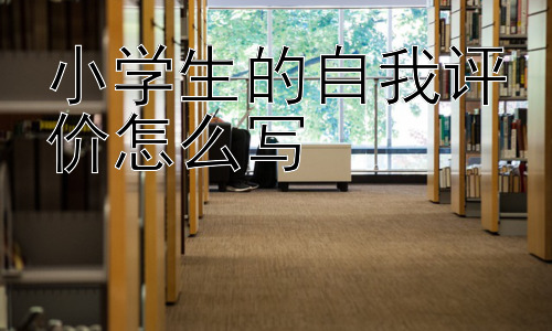 小学生的自我评价怎么写，如何让小学生更愿意写自我评价？插图