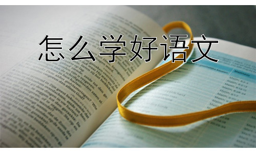 怎么学好语文，学语文一定要背诵吗？插图