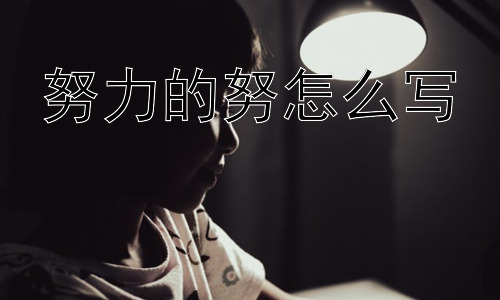 努力的努怎么写，“努”字的结构解析与书写技巧插图