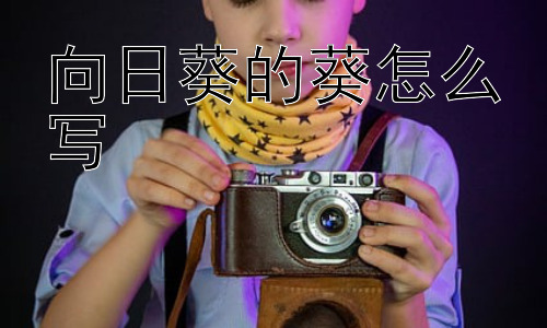 向日葵的葵怎么写，葵字到底有多少种写法？插图
