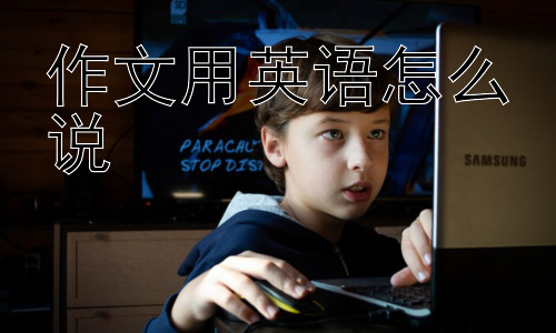 作文用英语怎么说，“Essay”和“Composition”的区别有多大？插图