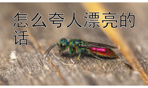 怎么夸人漂亮的话，赞美漂亮的话，可以只停留在外貌吗？插图