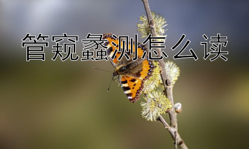 管窥蠡测怎么读，管窥蠡测是永远无法避免的吗？插图