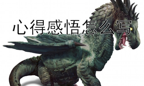 心得感悟怎么写， 为什么写完心得感悟还是觉得空洞？插图
