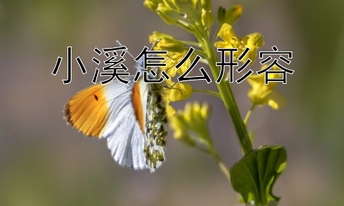 小溪怎么形容，为什么小溪总能给人带来平静和舒适感？插图