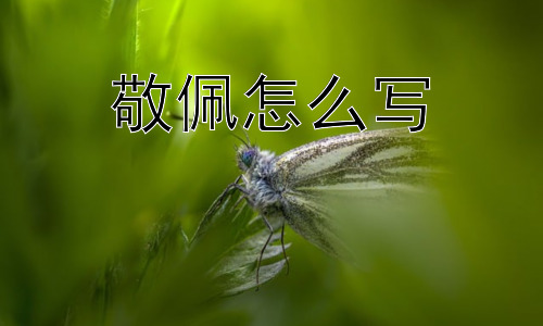 敬佩怎么写，为什么我们有时候难以表达敬佩？插图
