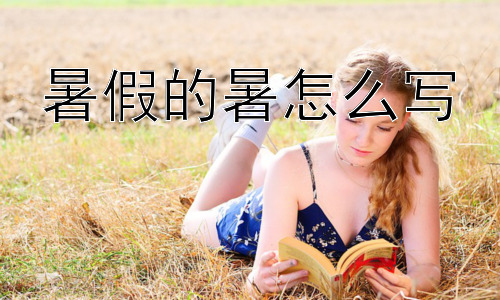 暑假的暑怎么写， “暑”字为何与炎热联系如此紧密？插图