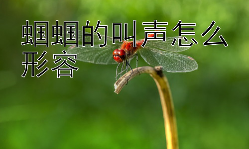 蝈蝈的叫声怎么形容，为什么蝈蝈的叫声这么像小锯子锯木头？插图