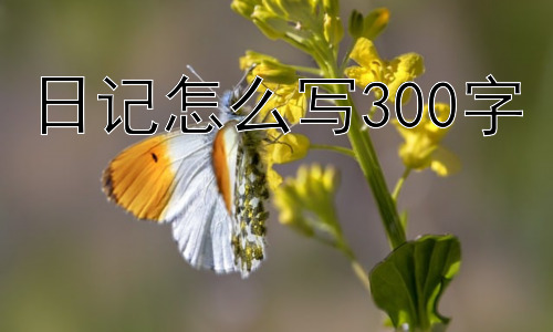 日记怎么写300字，日记一定要每天都写吗？插图