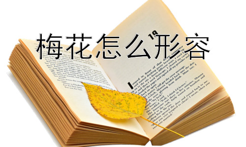 梅花怎么形容，梅花为什么会成为中国文化的象征？插图