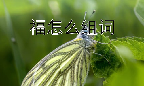 福怎么组词，“福”字为何如此重要？插图