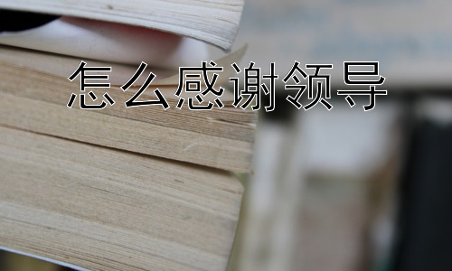 怎么感谢领导，感谢领导的边界在哪里？插图