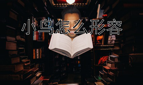 小鸟怎么形容，小鸟的叫声如何形容？插图