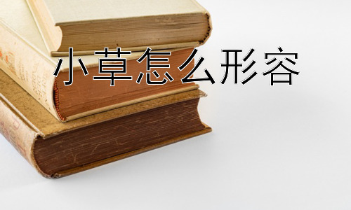 小草怎么形容，小草的平凡与伟大，为何常常被我们忽略？插图