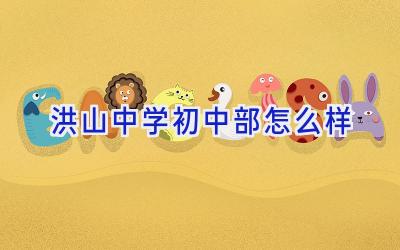 洪山中学初中部怎么样插图