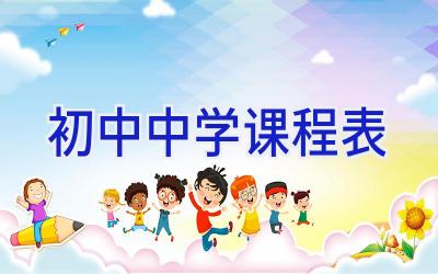 初中中学课程表插图