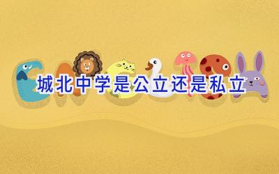 城北中学是公立还是私立