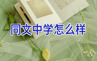 同文中学怎么样插图