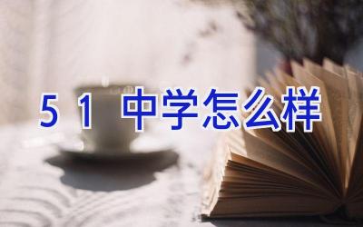 51中学怎么样插图