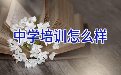 中学培训怎么样插图
